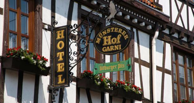 Hotel Muensterer Hof Munster-Sarmsheim Exterior photo